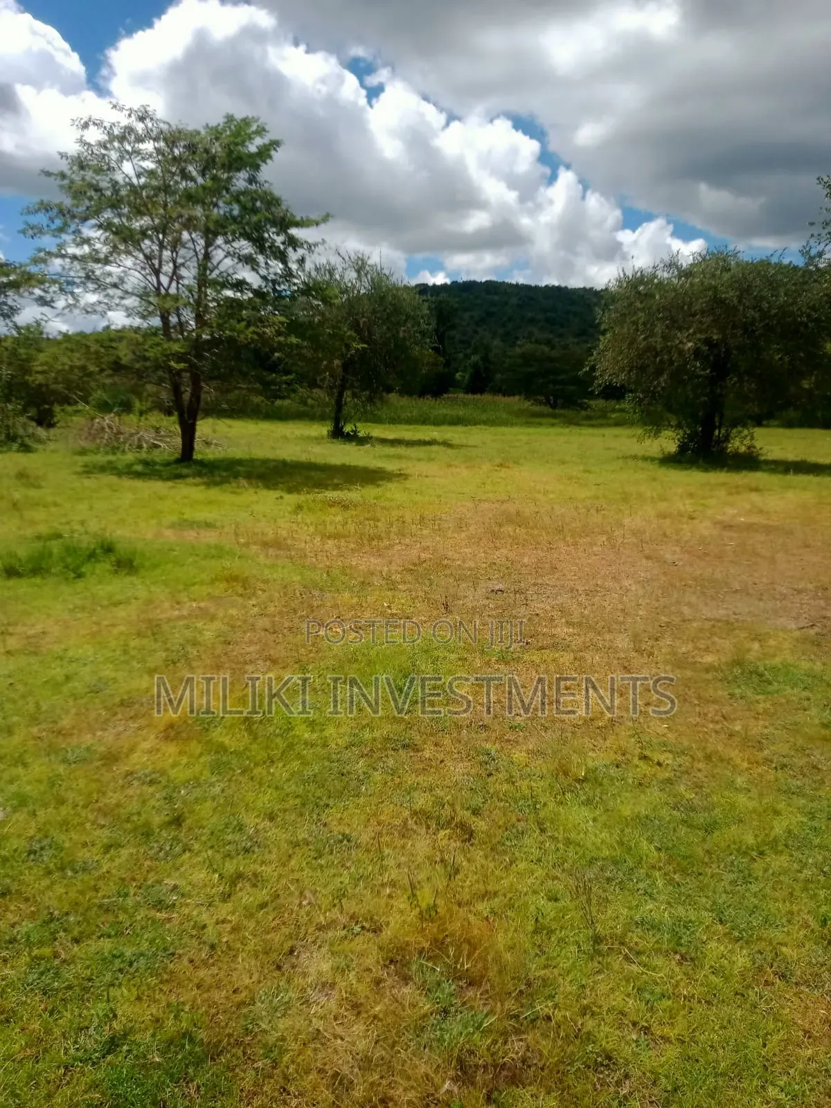 3.6 Acres on Sale at Sagana