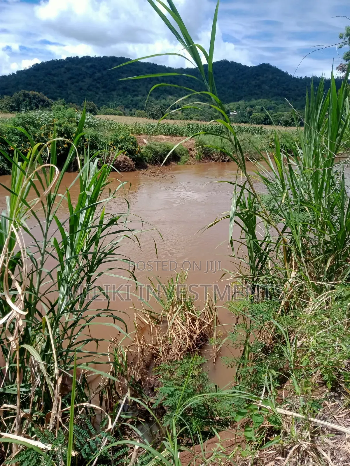 3.6 Acres on Sale at Sagana