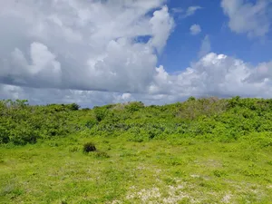 Block of 4 Acres Beach Front Watamu for Sale in Jacaranda Area
