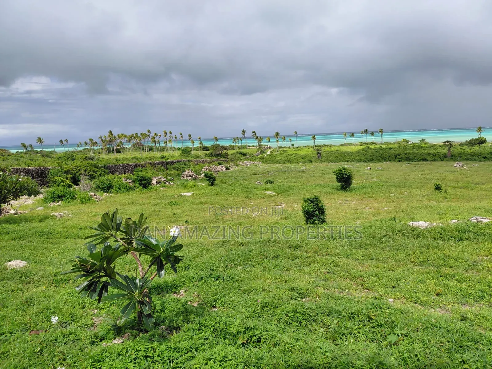 Block of 4 Acres Beach Front Watamu for Sale in Jacaranda Area