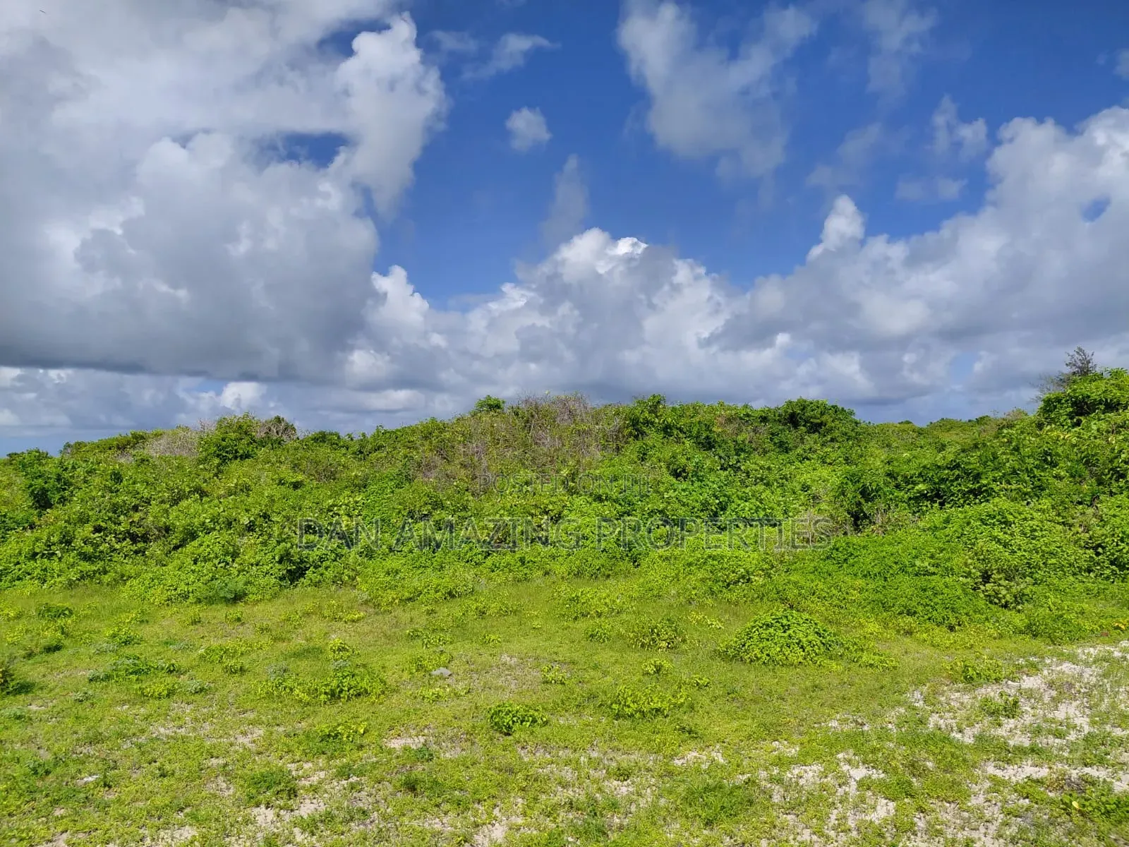 Block of 4 Acres Beach Front Watamu for Sale in Jacaranda Area
