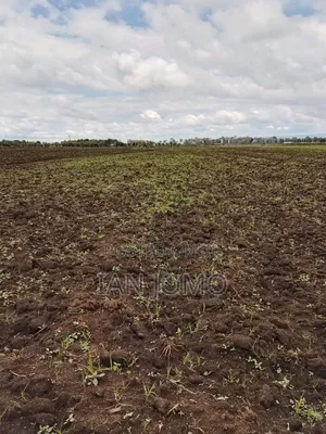5acres Land Along Ndunyu Njeru, Kinangop Rd, Next to Kiburuti Primary