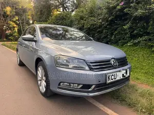 Volkswagen Passat SE 2013 Blue