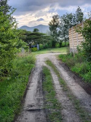 Ngong-Merisho 1⁄8 Acre Plots