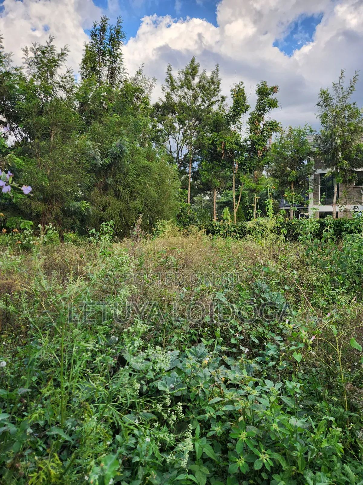 Ngong-Merisho 1⁄8 Acre Plots