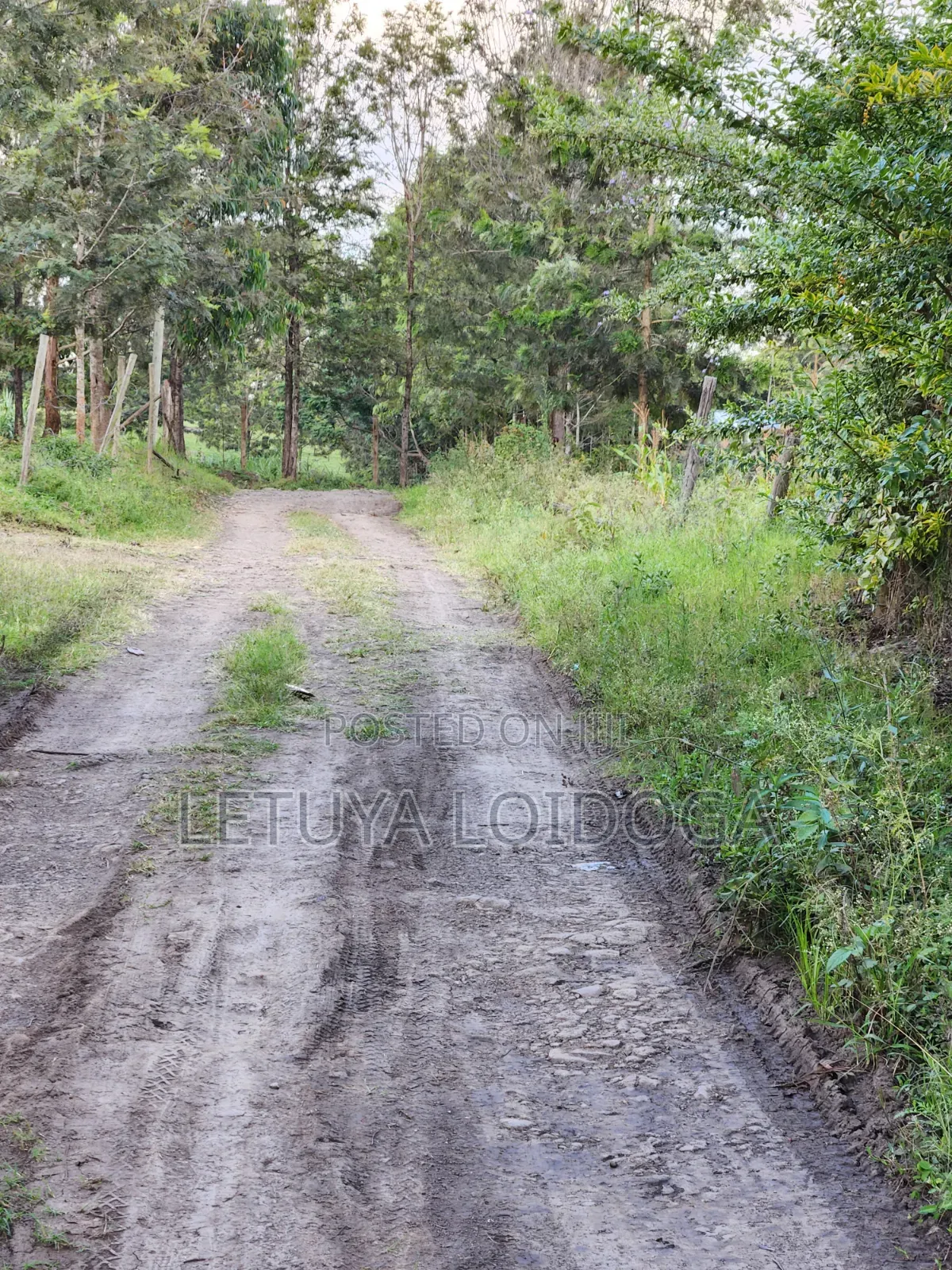 Ngong-Merisho 1⁄8 Acre Plots