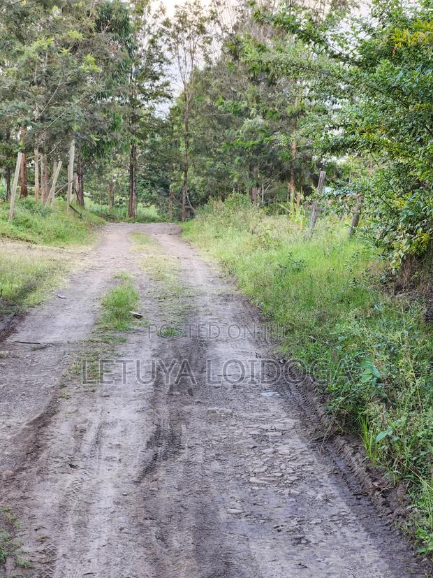 Ngong-Merisho 1⁄8 Acre Plots - thumbnail 7