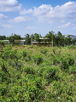 3.8 Acres Ngong-Kibiko (Baboon Crescent)