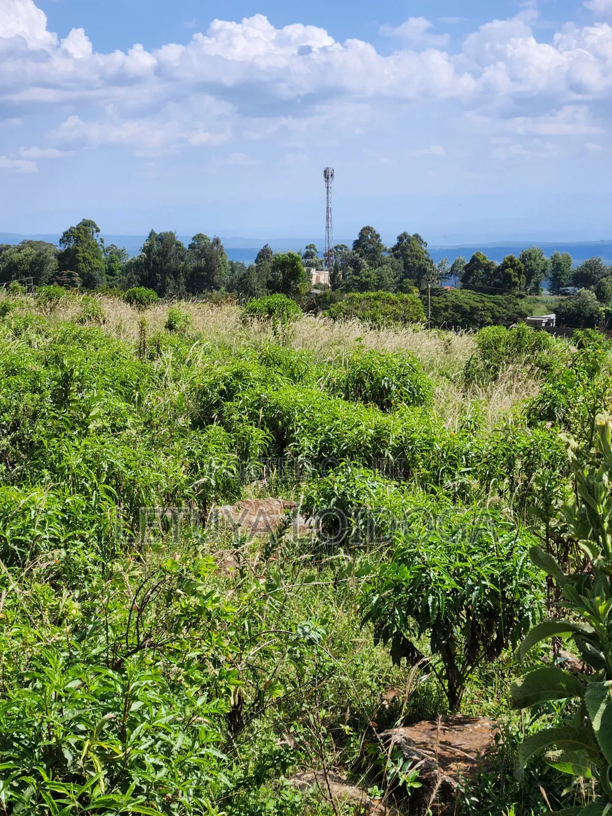 3.8 Acres Ngong-Kibiko (Baboon Crescent)
