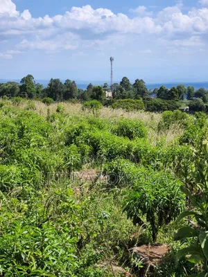 3.8 Acres Ngong-Kibiko (Baboon Crescent)