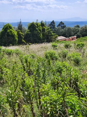 3.8 Acres Ngong-Kibiko (Baboon Crescent)