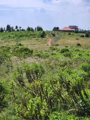 3.8 Acres Ngong-Kibiko (Baboon Crescent)