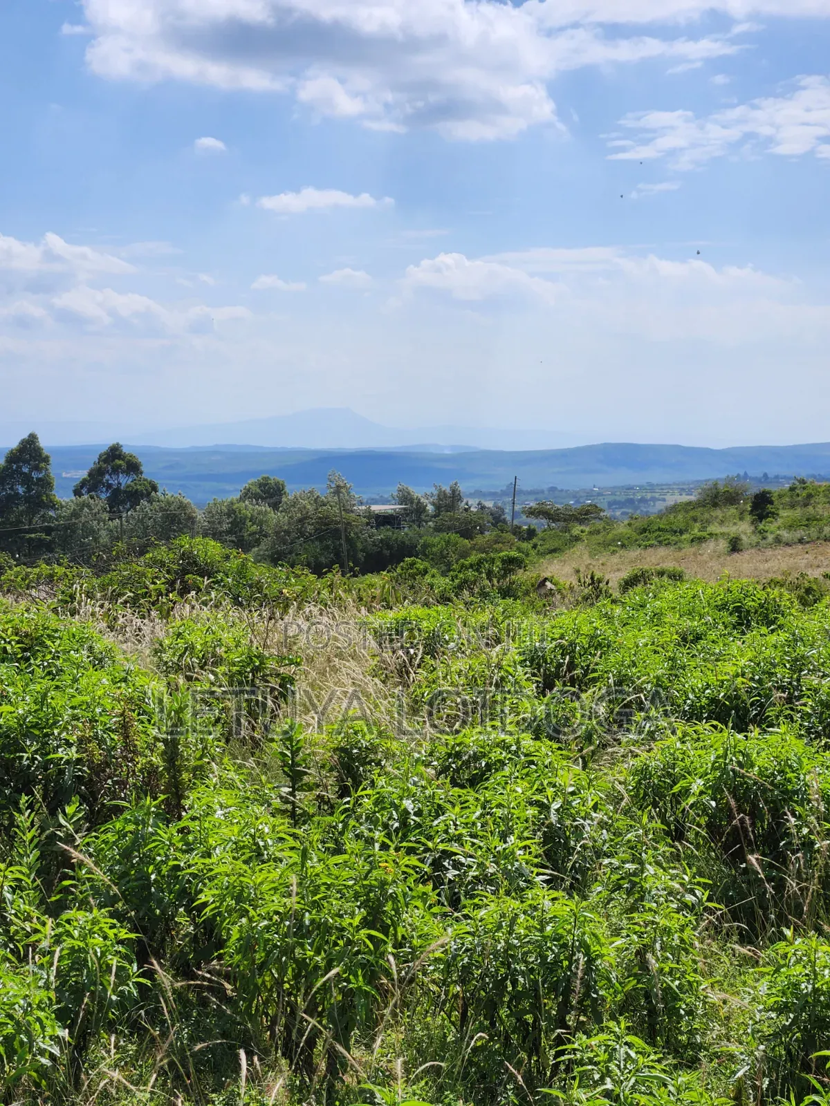 3.8 Acres Ngong-Kibiko (Baboon Crescent)