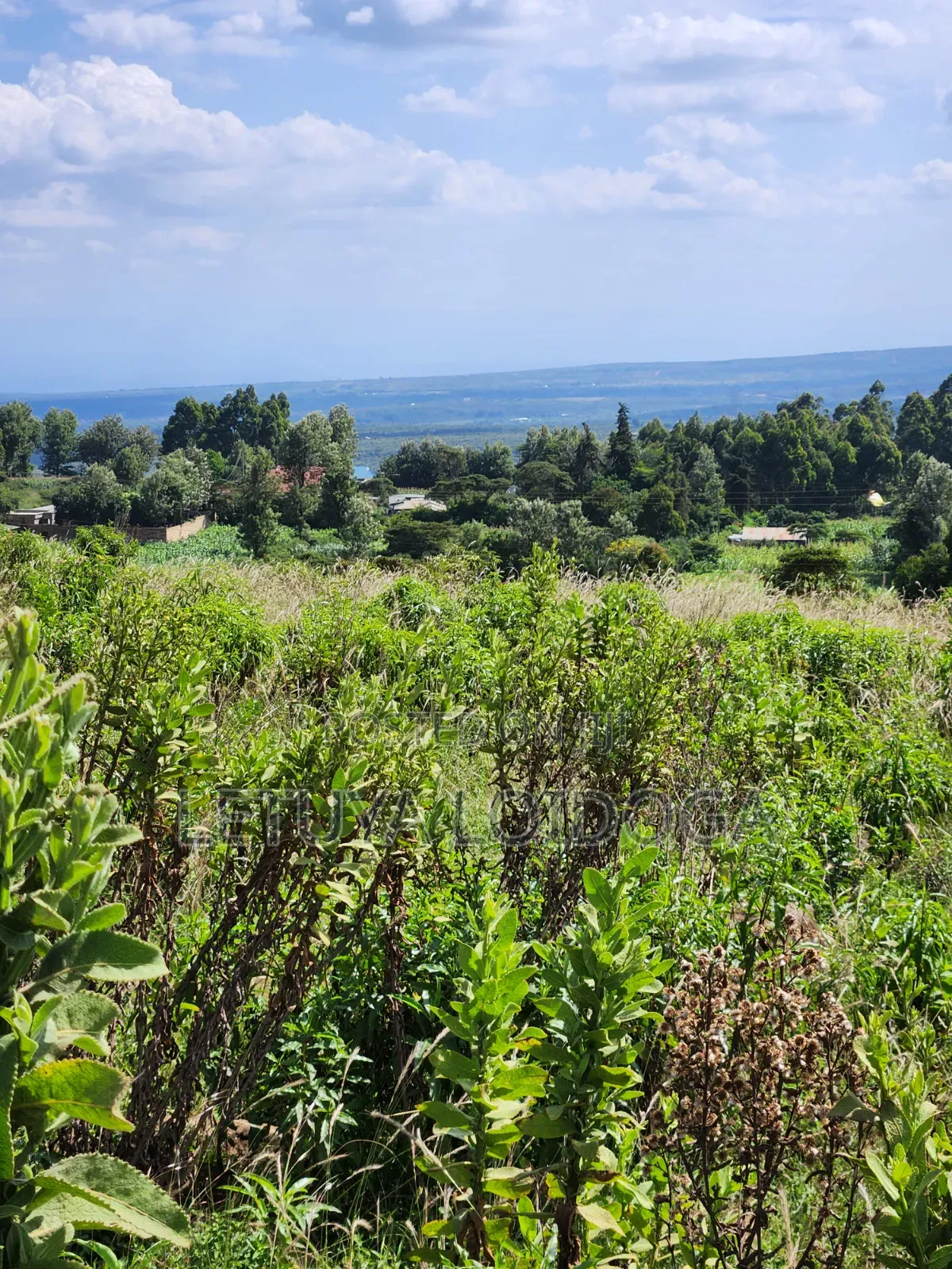 3.8 Acres Ngong-Kibiko (Baboon Crescent)