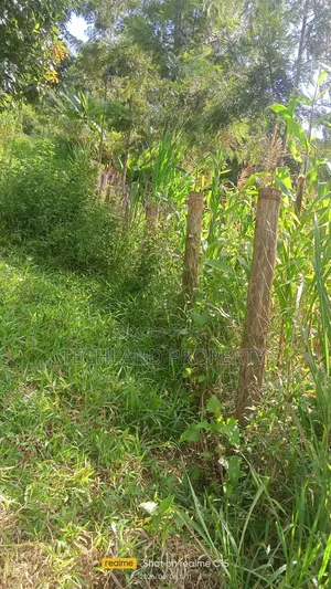 2acres Othaya Nyeri.