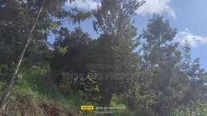 2acres Othaya Nyeri.