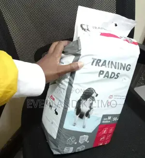 Absorbent Training Pads - 45 X 60cm
