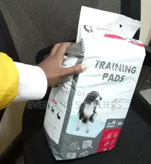 Absorbent Training Pads - 45 X 60cm