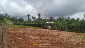 1/8acre Kiamuiru Gatitu Nyeri.