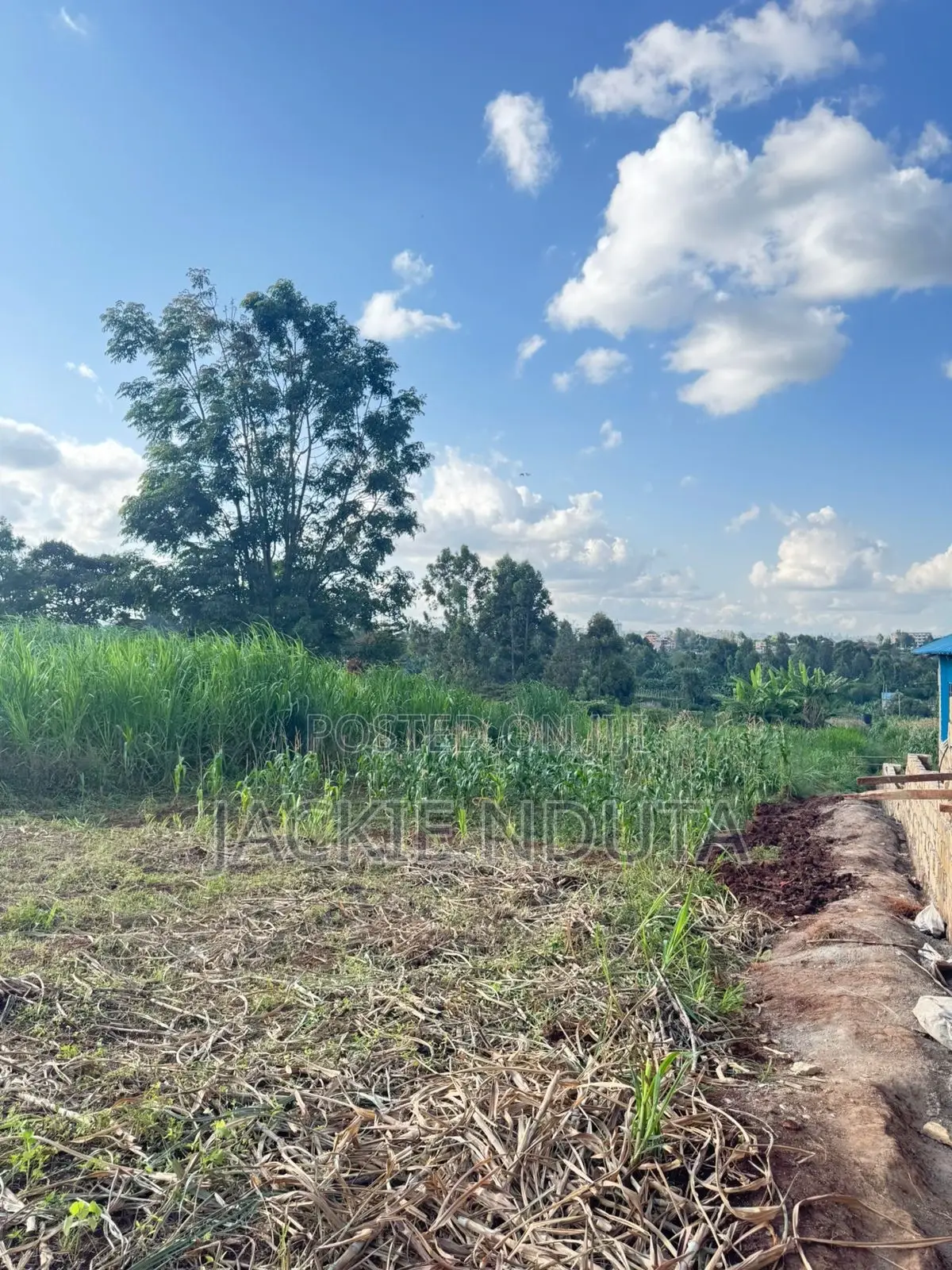 Commercial Land for Lease Along Kirawa Road Off Peponi Road