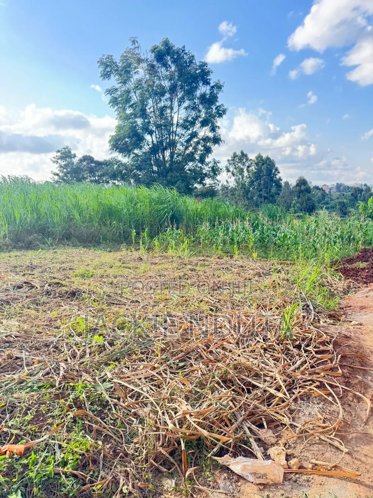Commercial Land for Lease Along Kirawa Road Off Peponi Road