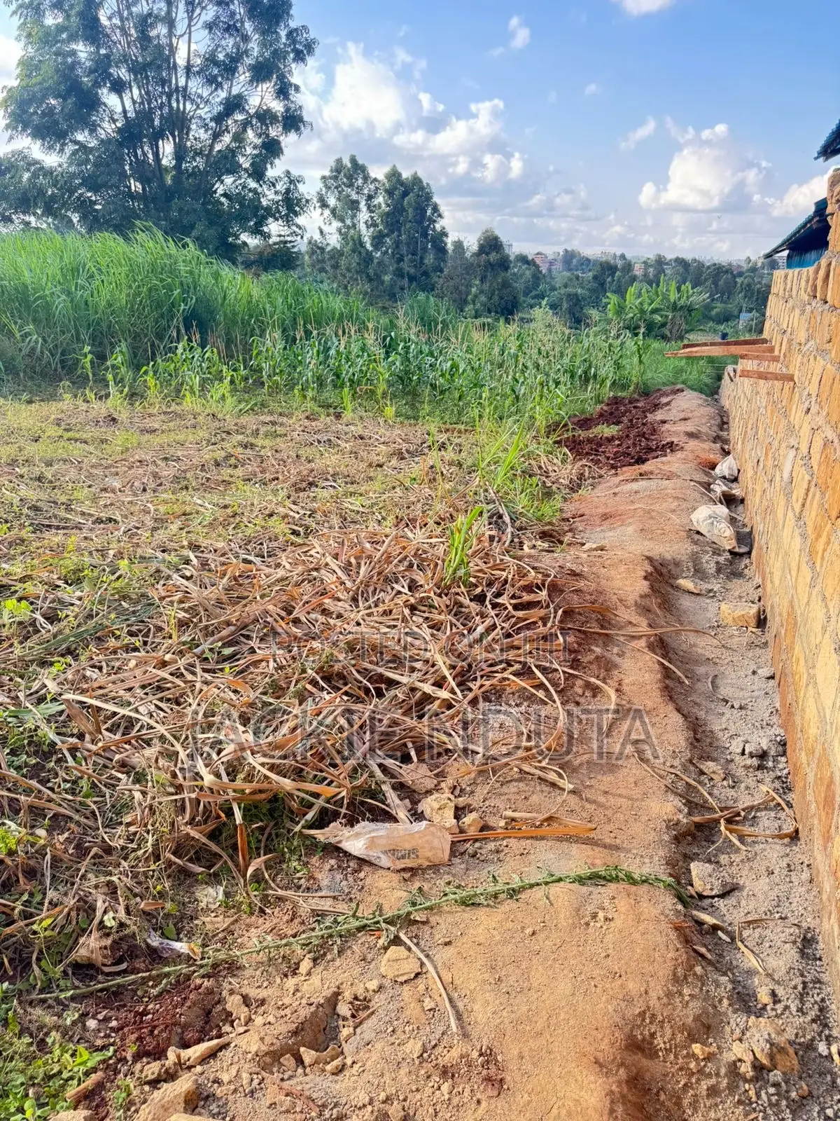 Commercial Land for Lease Along Kirawa Road Off Peponi Road