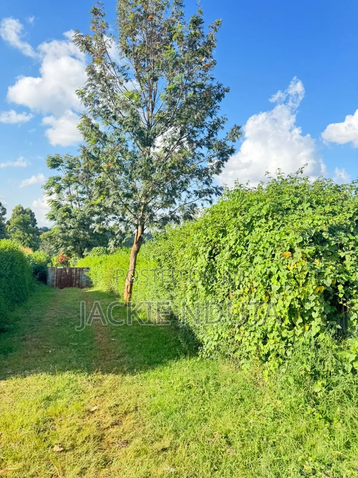 Commercial Land for Lease Along Kirawa Road Off Peponi Road
