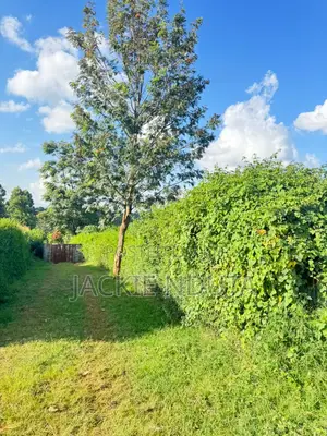 Commercial Land for Lease Along Kirawa Road Off Peponi Road