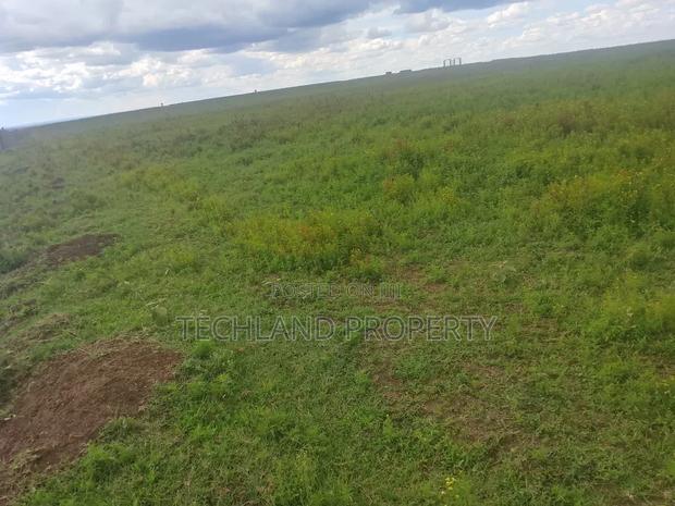 55acres Ndaragwa - thumbnail 2
