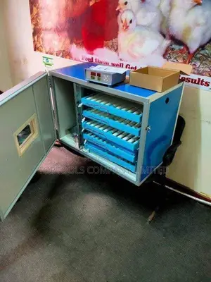 Electric and Solar Incubator 128eggs