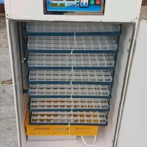 Solar and Electric Incubator 204eggs