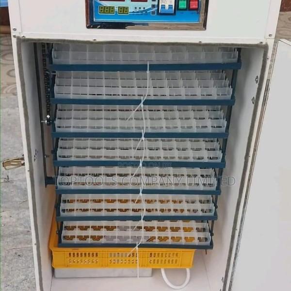Solar and Electric Incubator 204eggs