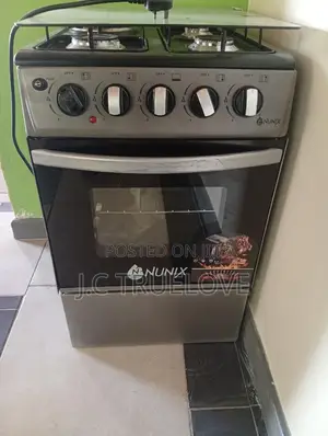 Electronical Gas Cooker