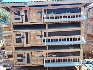 Chicken Coop
