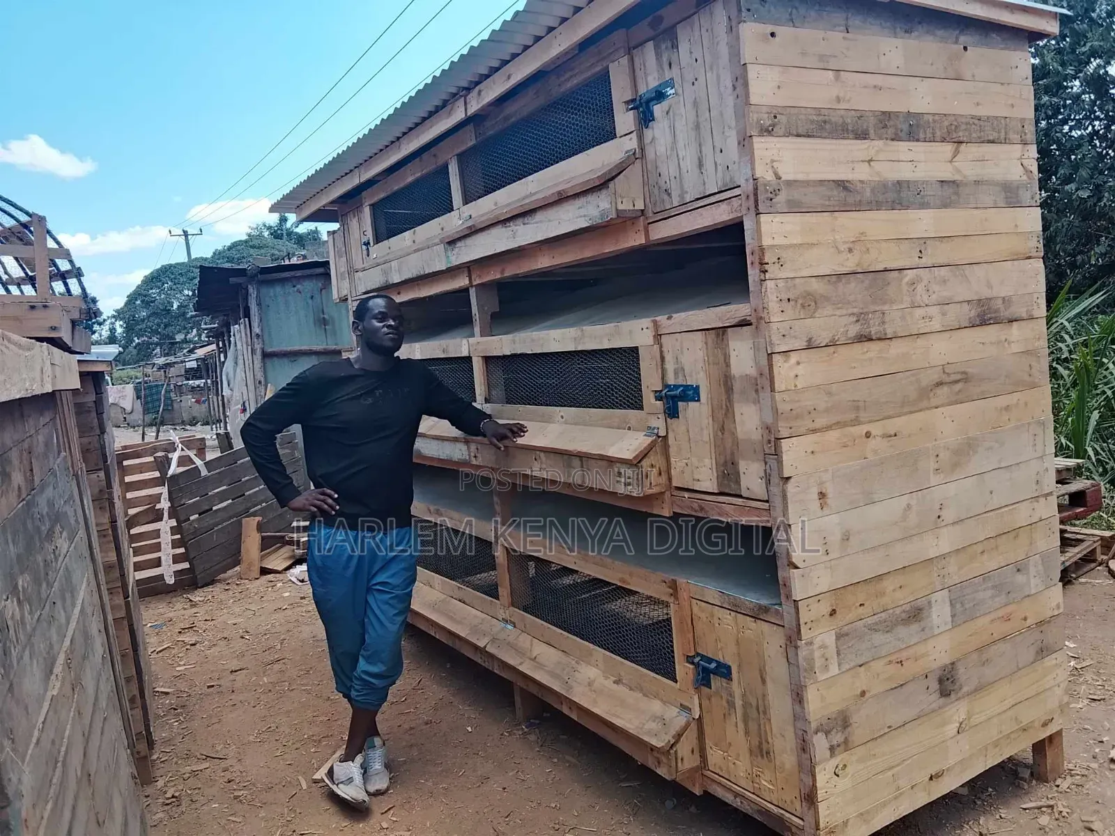 Chicken Coop
