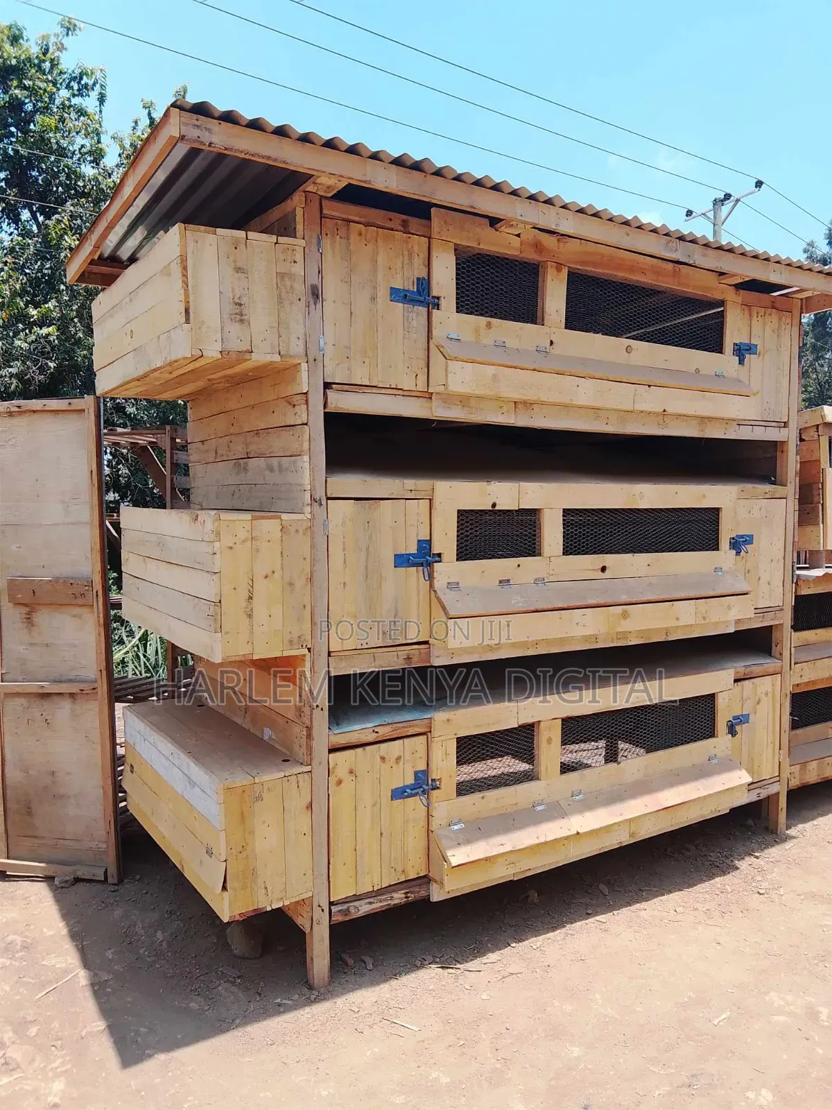 Chicken Coop