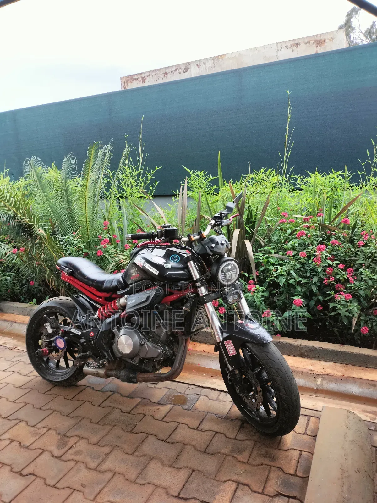 Benelli Tornado 2018 Black