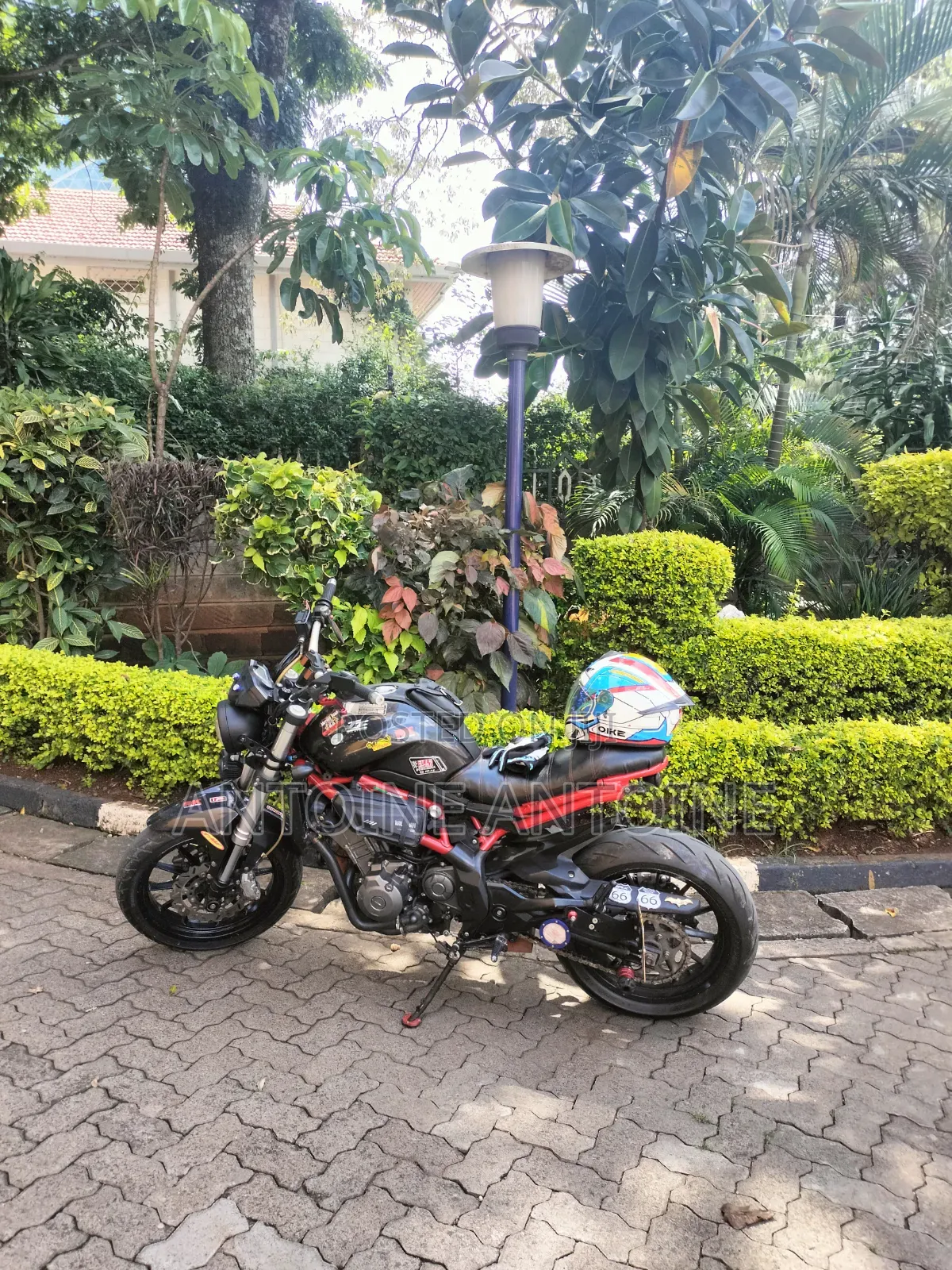 Benelli Tornado 2018 Black