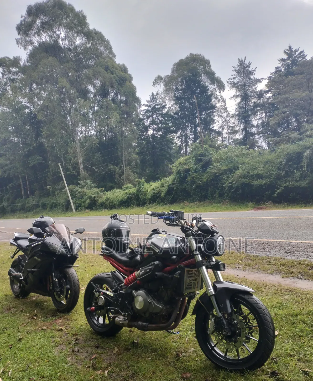 Benelli Tornado 2018 Black