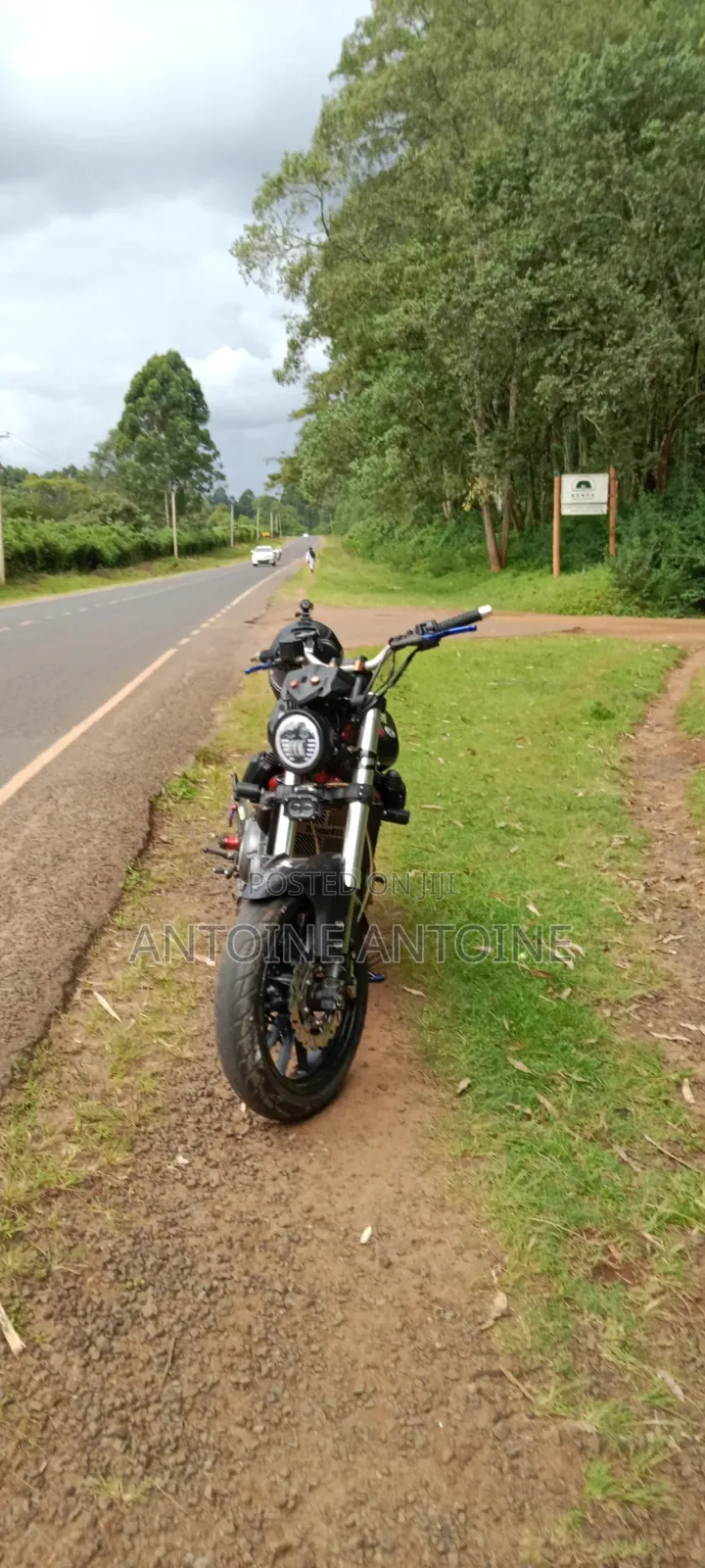 Benelli Tornado 2018 Black