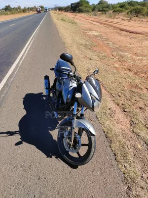 Bajaj Pulsar 180 2010 Gray