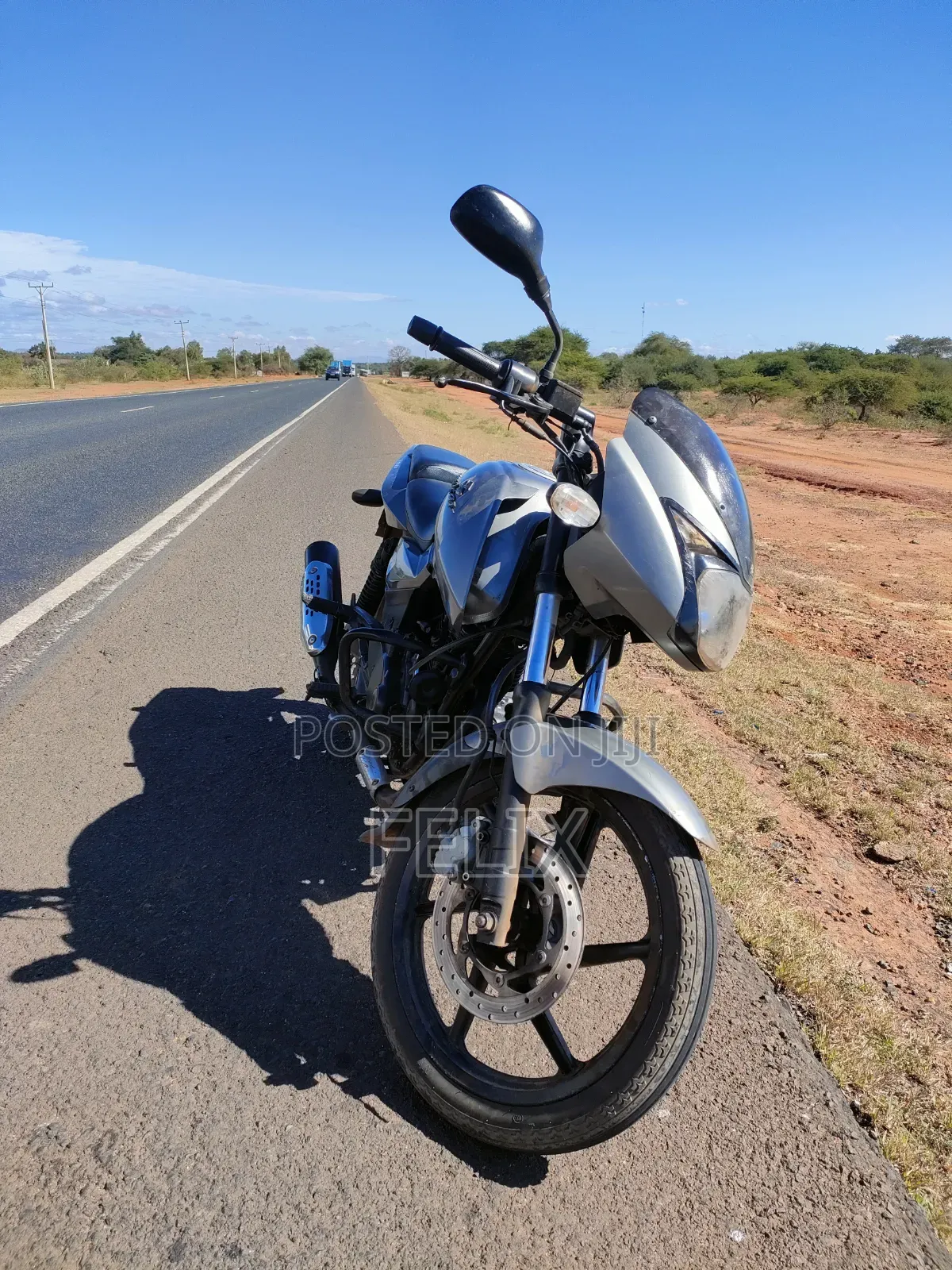 Bajaj Pulsar 180 2010 Gray