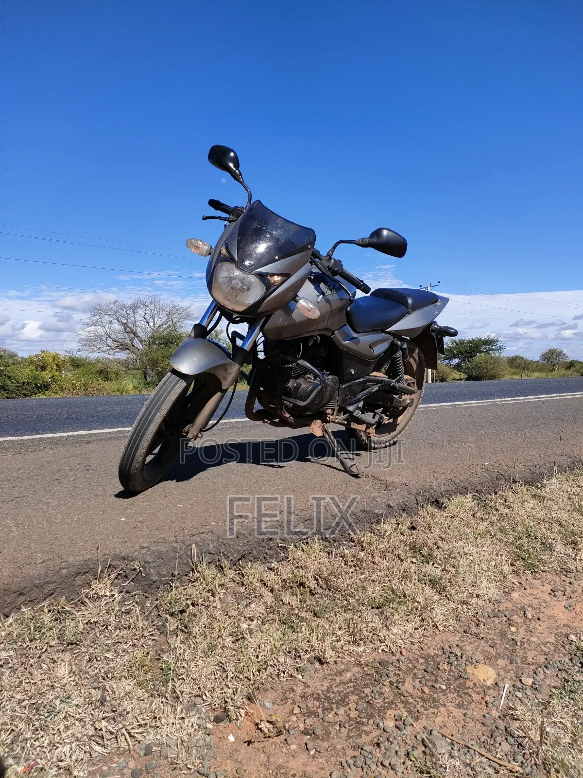 Bajaj Pulsar 180 2010 Gray