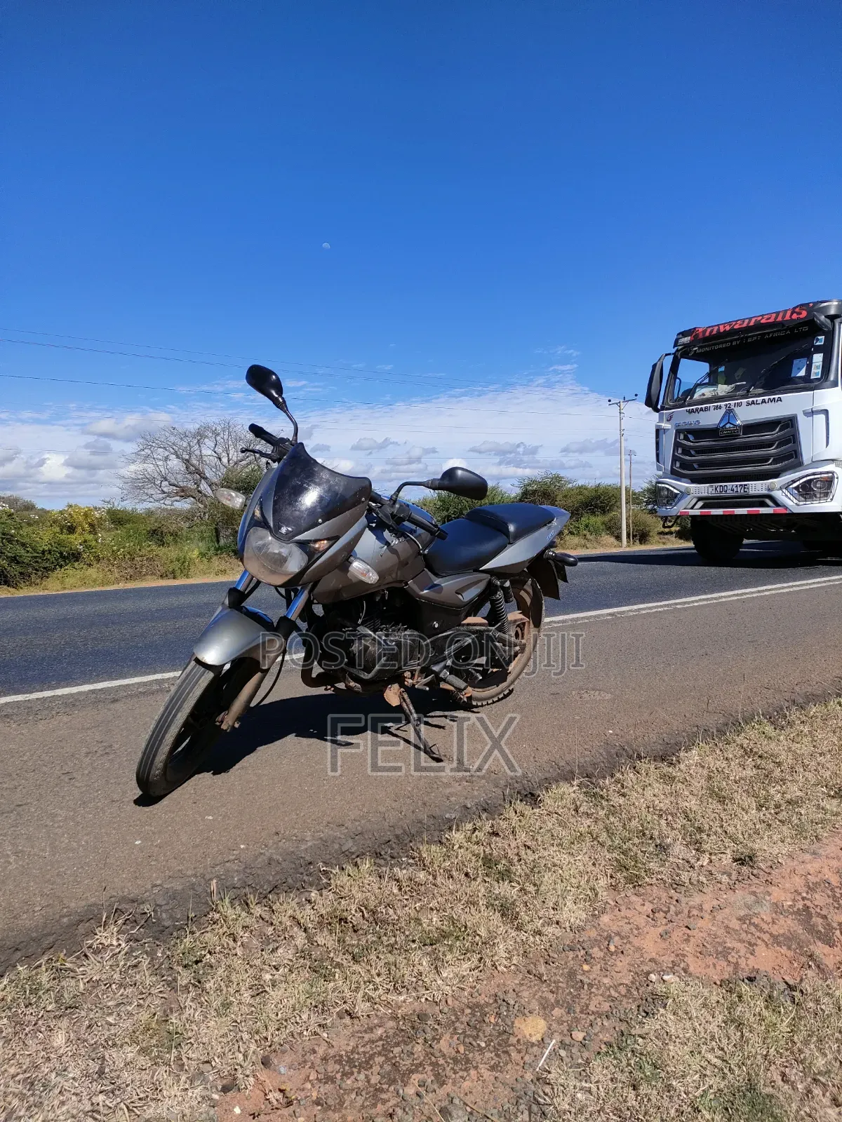 Bajaj Pulsar 180 2010 Gray