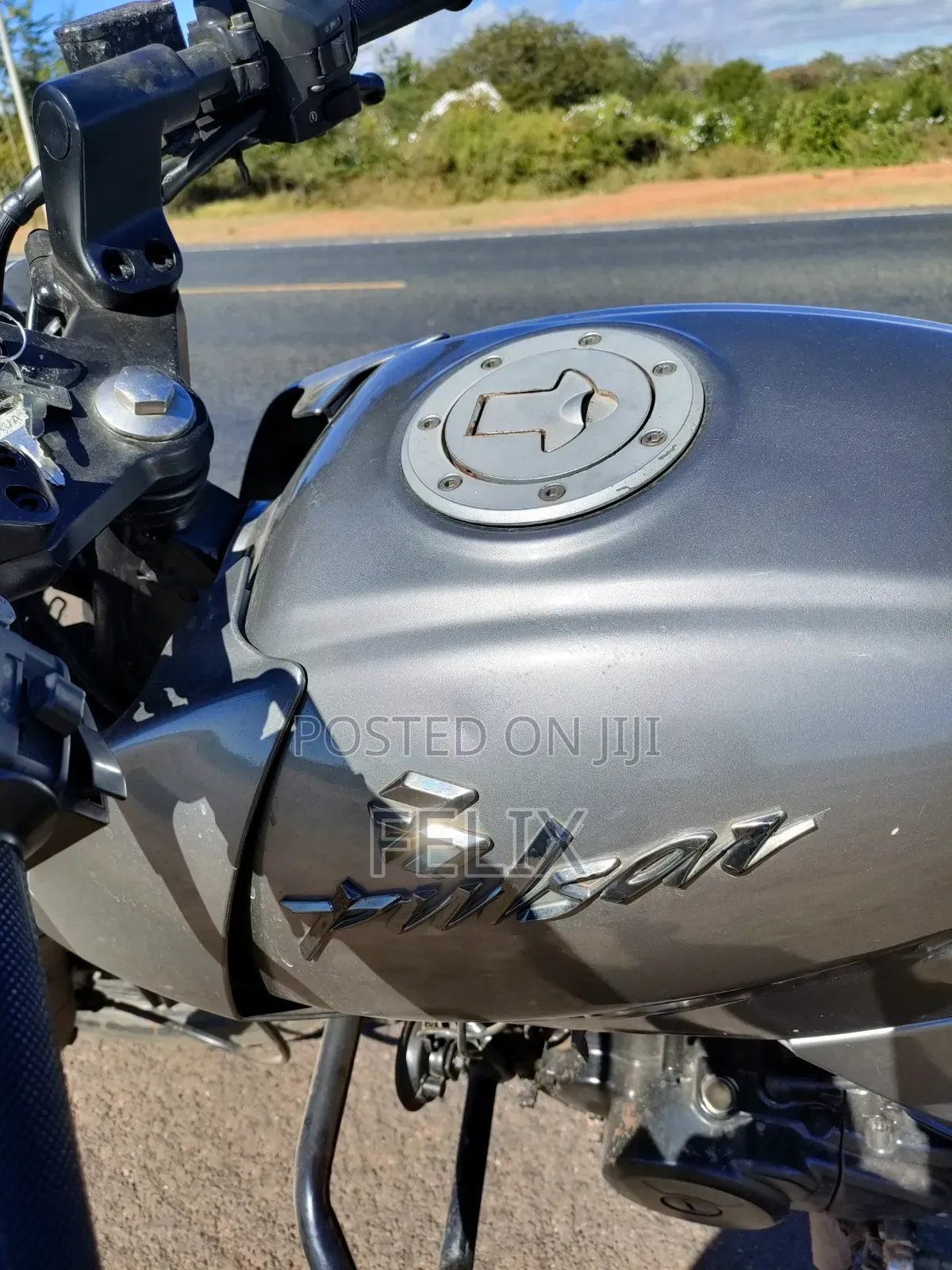 Bajaj Pulsar 180 2010 Gray