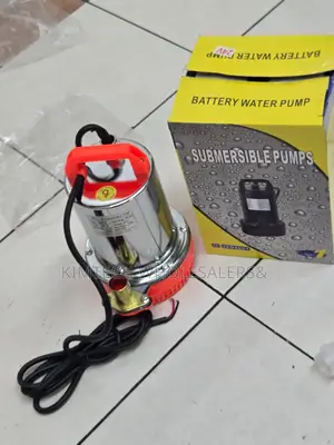24v Dc Battery Submersible Pump 16m Head 4.0m Cubic