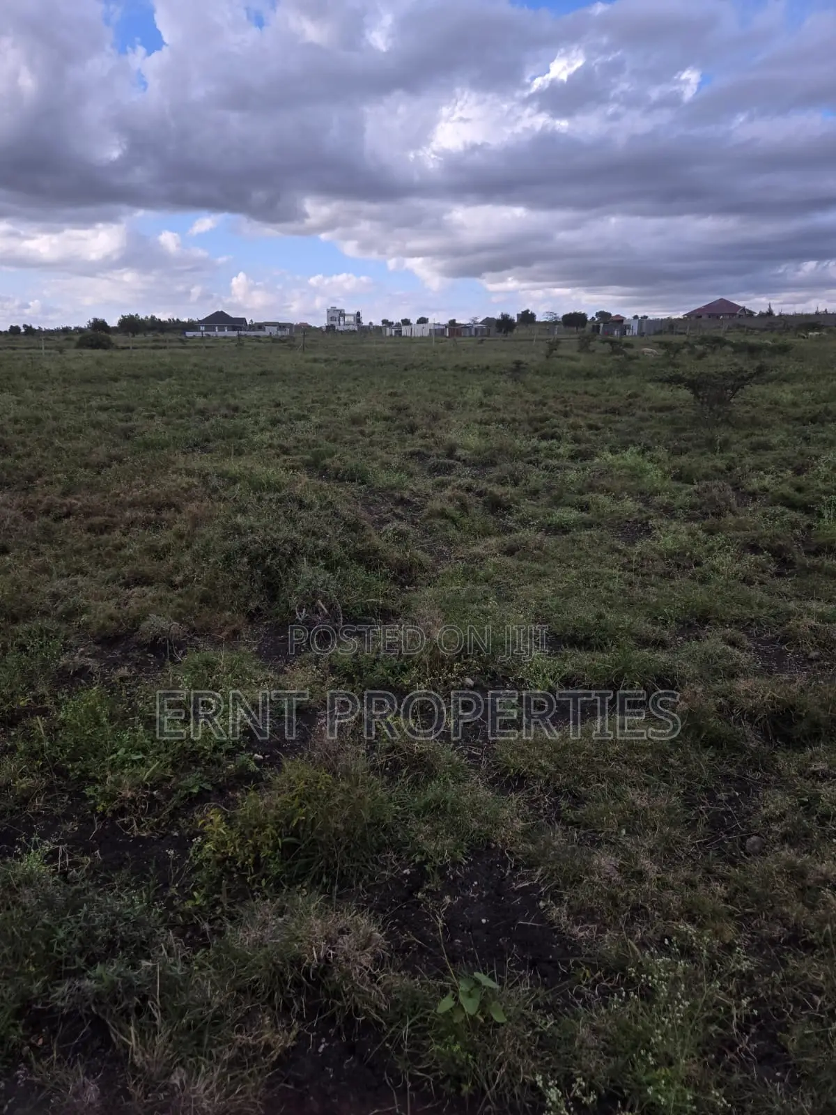 Quick Sale Alert. Two Adjacent 50x100 Plots at Oloika