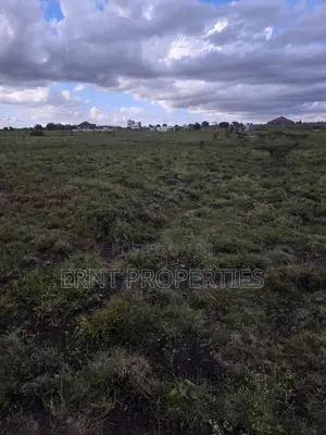Quick Sale Alert. Two Adjacent 50x100 Plots at Oloika