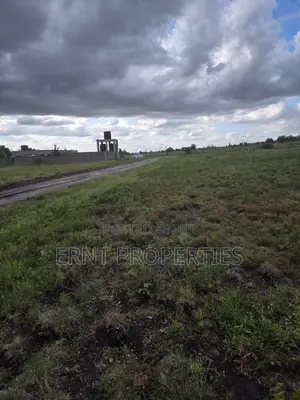 Quick Sale Alert. Two Adjacent 50x100 Plots at Oloika