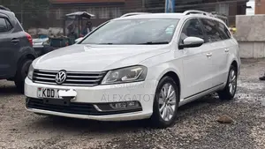 Volkswagen Passat 2014 White
